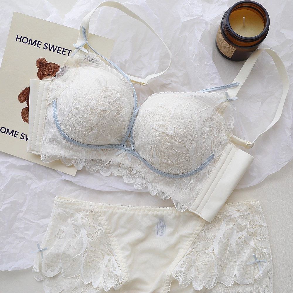 프렌치 백 가든 란제리 여성용 작은 가슴을 위한 레이스 - Underwire Bra Padded 리뷰 및 가격