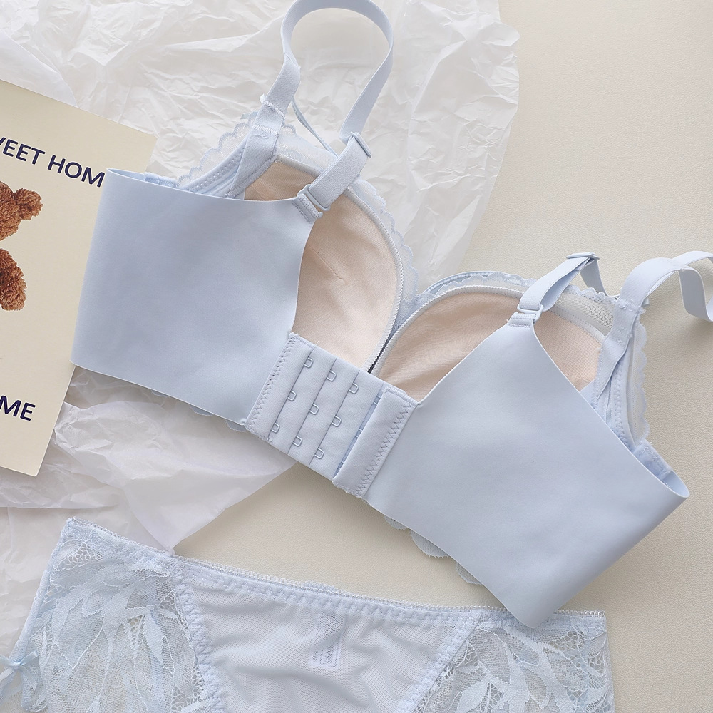 프렌치 백 가든 란제리 여성용 작은 가슴을 위한 레이스 - Underwire Bra Padded 리뷰 및 가격